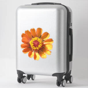 Adesivo Fecho de flor de zínnia laranja
