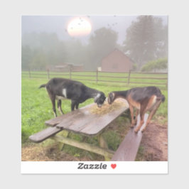 Adesivo Felizes Caprinos Ao Sol