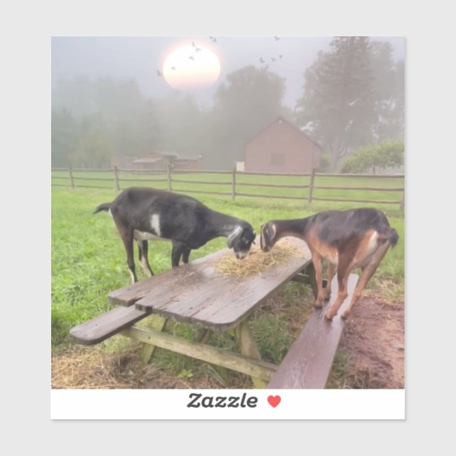 Adesivo Felizes Caprinos Ao Sol (Folha)