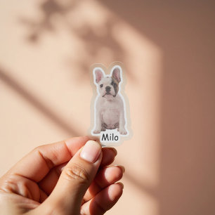 Adesivo Filhote de bulldog francês com foto personalizada