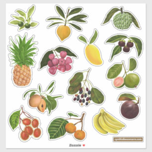 Adesivo Filipinas / Frutas Tropicais