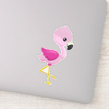 Flamingo, Baby Flamingo, Flamingo Rosa, Bird