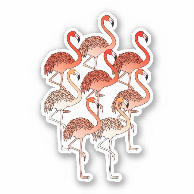 Adesivo Flamingos Cor-de-coral (Frente)