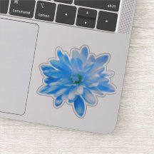 Flor azul azul floral girassol margarida