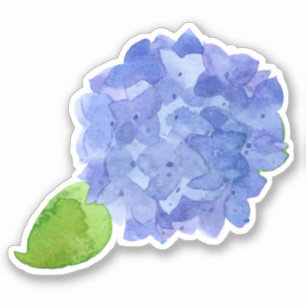 Adesivo Flor azul da aguarela do Hydrangea
