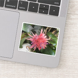 Adesivo Flor de Bromelia