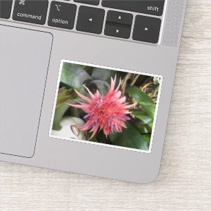 Adesivo Flor de Bromelia