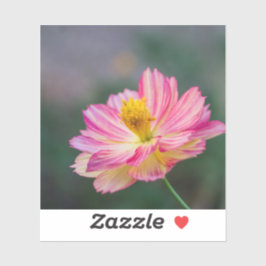 Adesivo Flor de Cosmos do Jardim