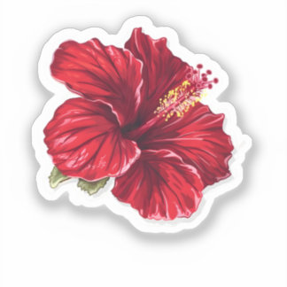 Adesivo Flor de Hibisco Vermelha Vibrante