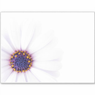 Adesivo Flor de margarida branca minimalista em fundo bran