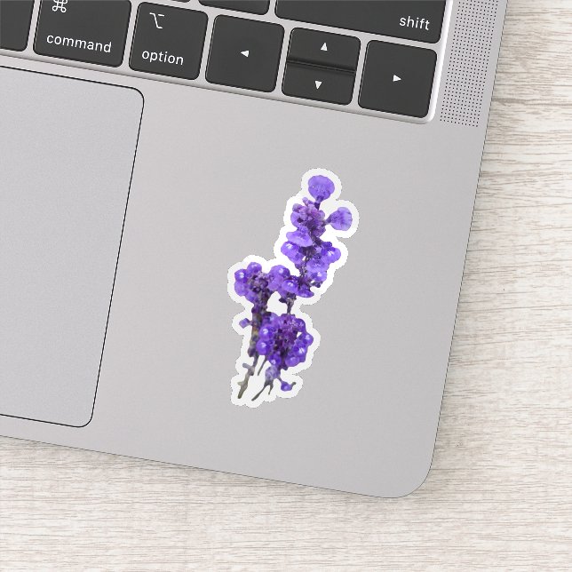 Adesivo Flor de Salvia Roxa Mealycup (Detalhe)