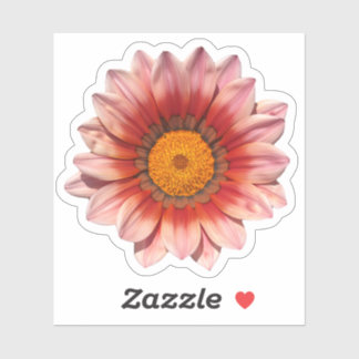 Adesivo Flor de Tesouro da Gazania Vermelha