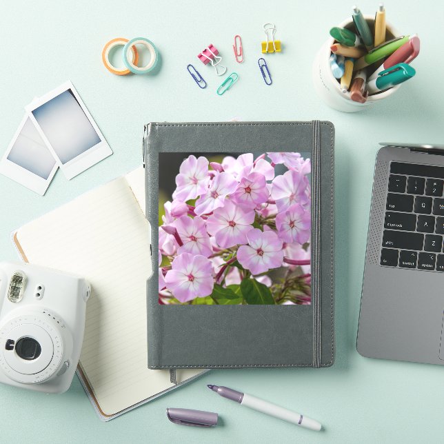 Adesivo Flor de Unidade – Phlox Rosa (Capa para iPad)