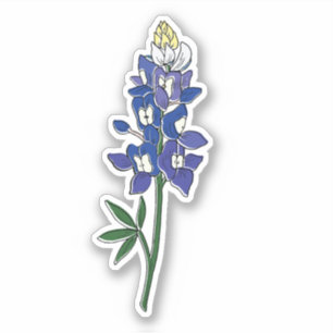 Adesivo Flor do Texas Bluebonnet