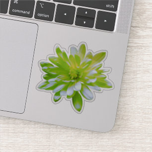 Adesivo Flor floral amarelo verde retrô Daisy