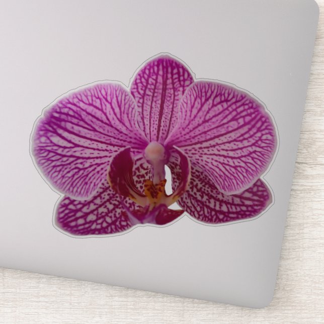 Adesivo Flor Magenta Cor-de-Rosa (Detalhe)