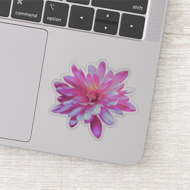 Adesivo Flor rosa cor-de-rosa Rosa girassol rosa rosa marg (Detalhe)