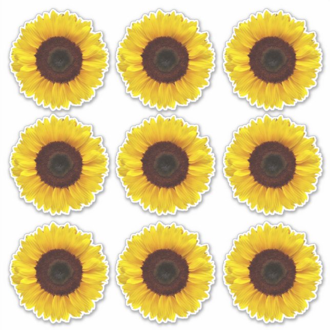 Adesivo Flores Amarelas Brilhantes Beijos-Corte VinilStick (Frente)