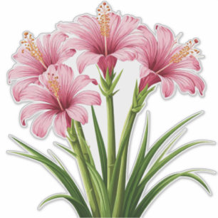 Adesivo Flores Cor-de-Rosa Vibrantes