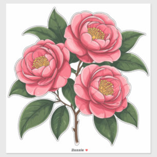 Adesivo Flores de Camélia Rosa em Flor com Folhas Verdes