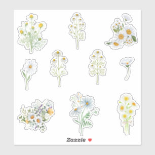 Adesivo Flores de Camomila