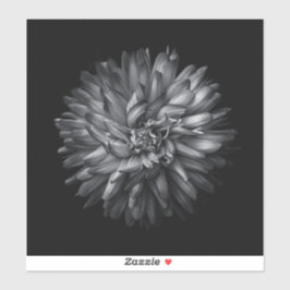 Adesivo Flores De Quintal A Preto E Branco 20