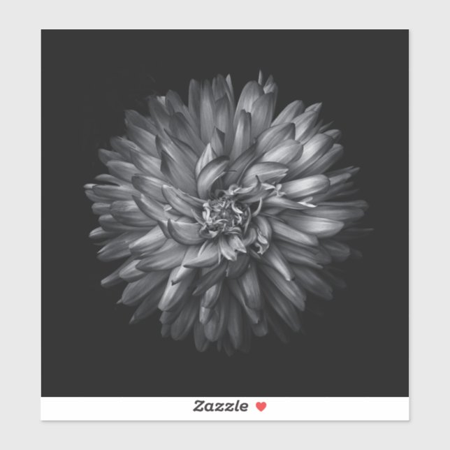 Adesivo Flores De Quintal A Preto E Branco 20 (Folha)