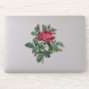 Adesivo Flores de Rosa Vermelha com Folhas Verdes