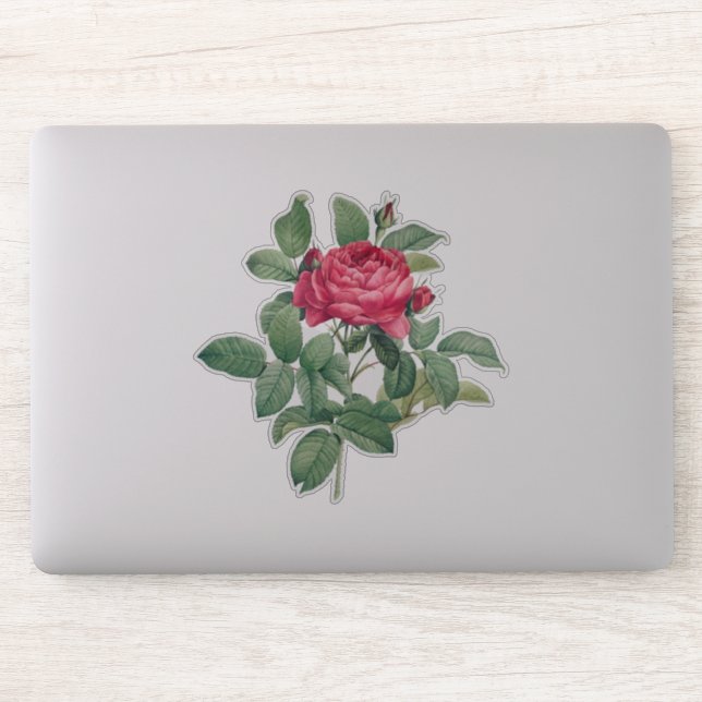 Adesivo Flores de Rosa Vermelha com Folhas Verdes (Computador)