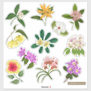 Adesivo Flores do Jardim das Filipinas