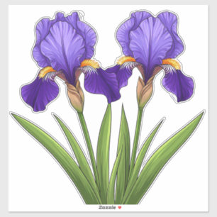 Adesivo Flores Vibrantes de Íris Roxo Com Folhas Verdes