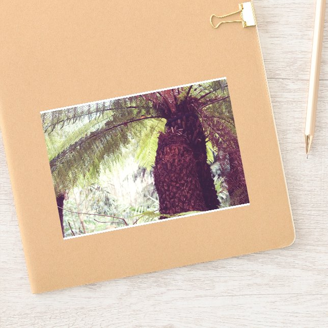 Adesivo Floresta Tropical de Samambaias (Notebook)