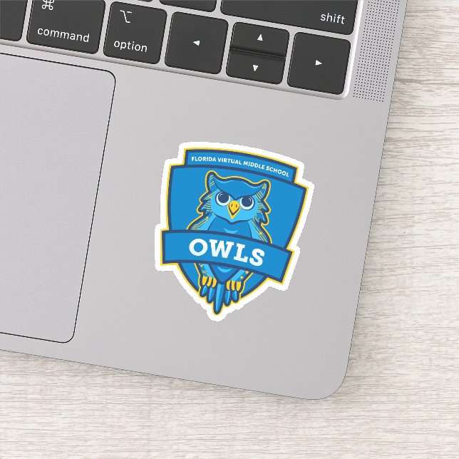 Adesivo Flórida Virtual MidSchool Owl Sticker (Detalhe)