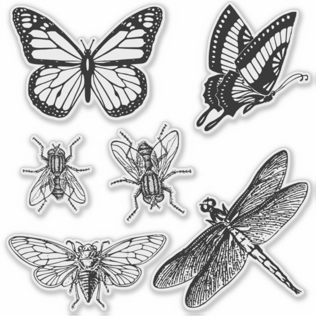 Adesivo Flying insects transparent stickers (Frente)