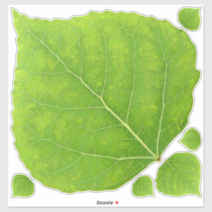 Adesivo Folha Verde Aspen nº 11