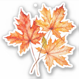 Adesivo Folhas de Árvore de Mapeamento de Aquarela