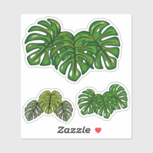 Adesivo Folhas de Monstera