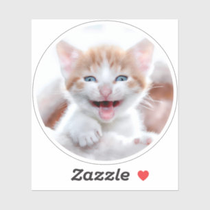 Adesivo Foto da Forma do Círculo Novo de Kitten