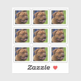 Adesivo Foto de cão Retrato DIY