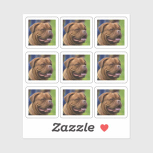 Adesivo Foto de cão Retrato DIY