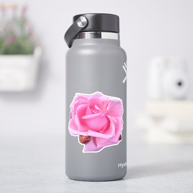 Adesivo Foto de Rosa Rosa (HidroFlask)