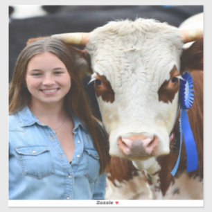 Adesivo Foto Personalizada de Vaca de Exposição de Gado