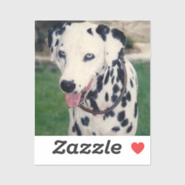 Adesivo Foto Personalizada Do Meu Amigo De Pet