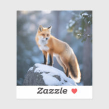 Fotografia da Fox Maiestosa de Inverno