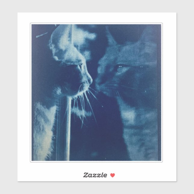 Adesivo Fotografia de Gato Azul-Bubba (Folha)