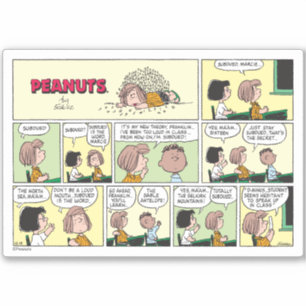 Adesivo Franklin, Peppermint Patty & Marcie   Classe de Ma