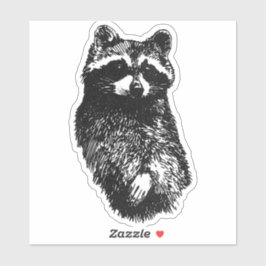 Adesivo Friendly Raccoon