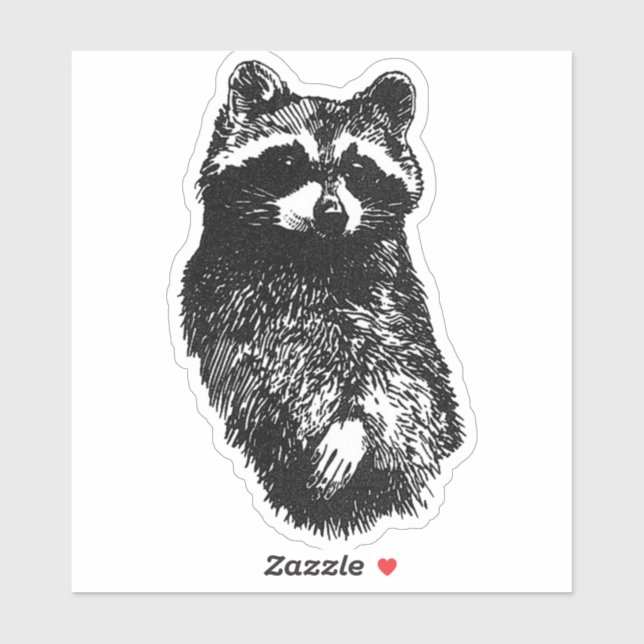 Adesivo Friendly Raccoon (Folha)