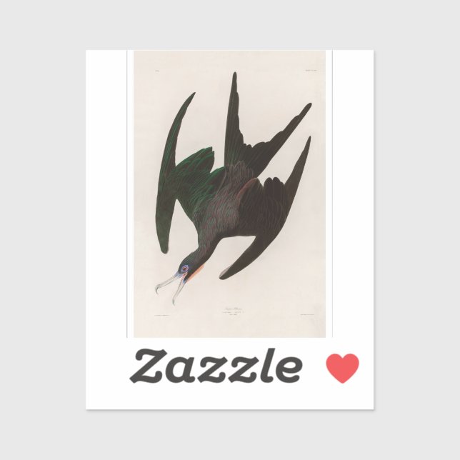 Adesivo Frigate Pelican Birds of America Audubon Print (Folha)