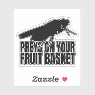 Adesivo Fruta voa Fruta voa Drosophila Entomology Geek